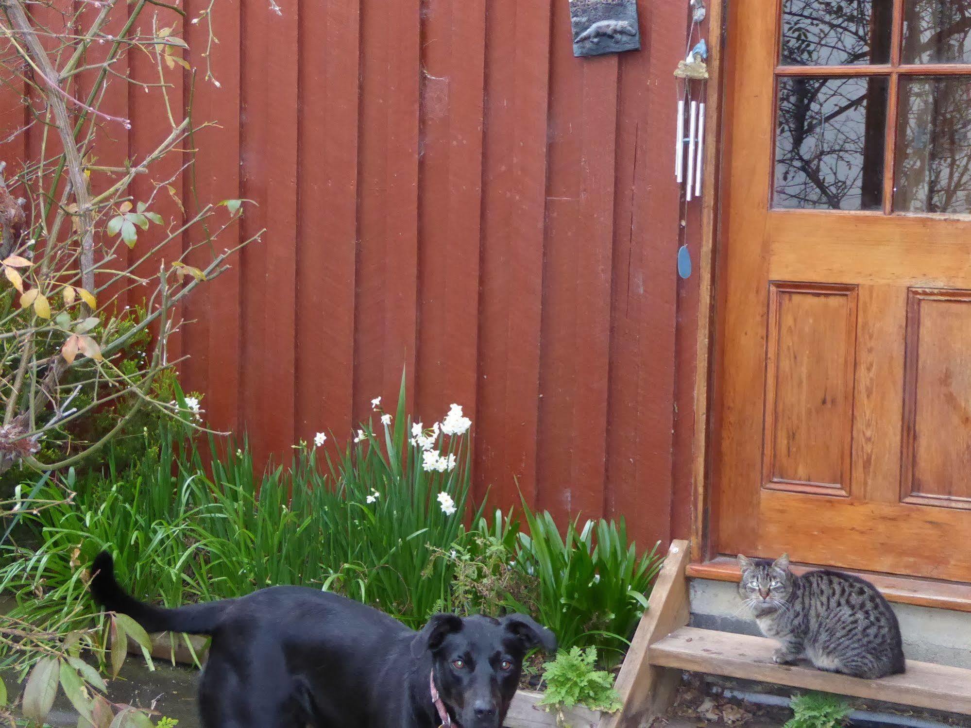 Villa Platypus Park Country Retreat Bridport Esterno foto