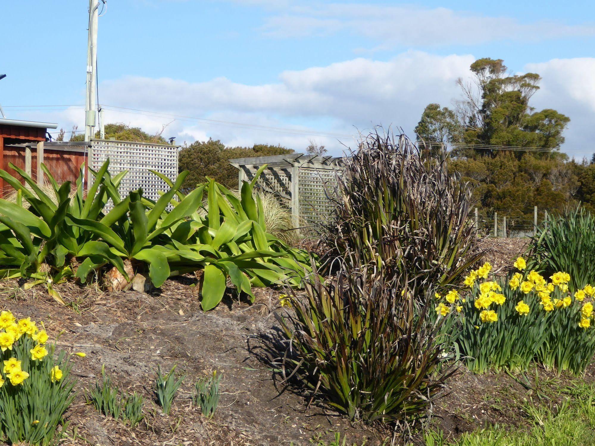 Villa Platypus Park Country Retreat Bridport Esterno foto