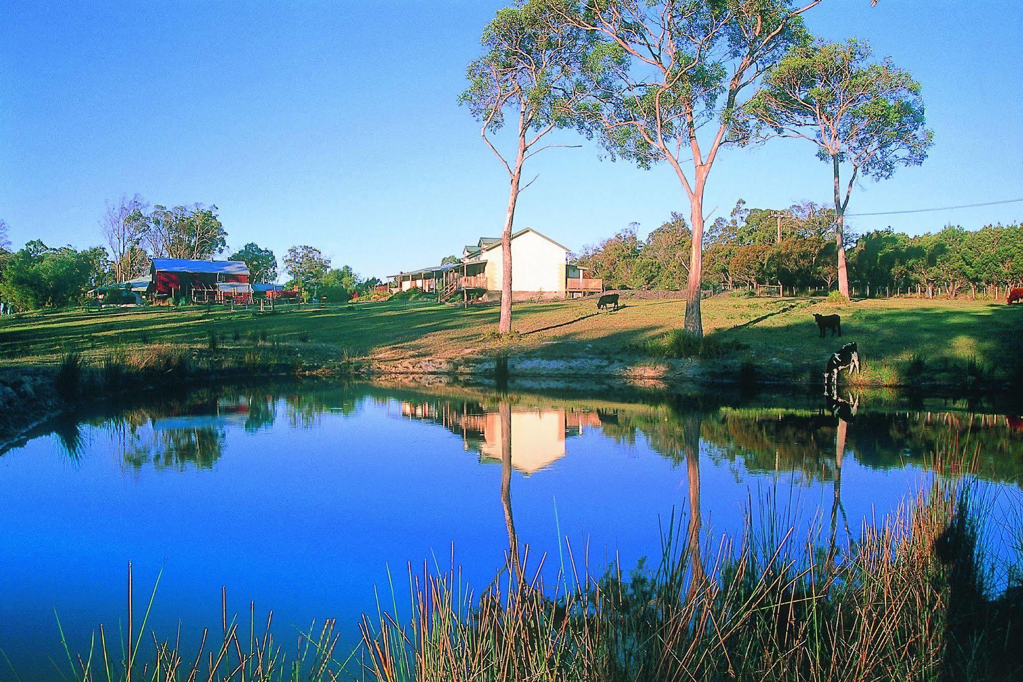 Villa Platypus Park Country Retreat Bridport Esterno foto