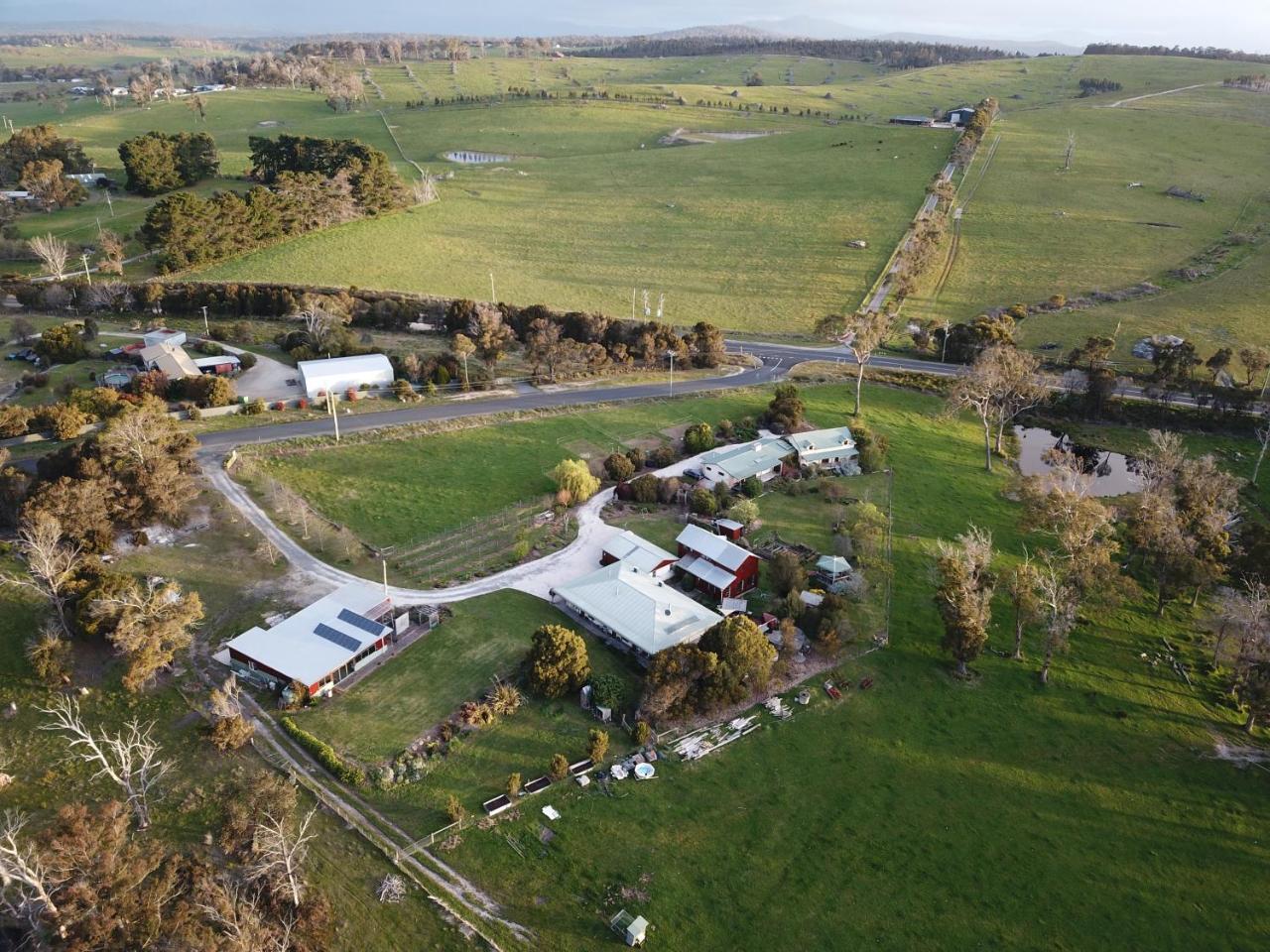 Villa Platypus Park Country Retreat Bridport Esterno foto