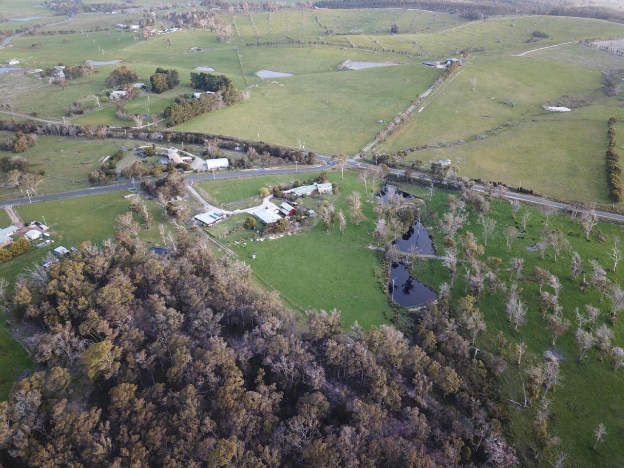 Villa Platypus Park Country Retreat Bridport Esterno foto